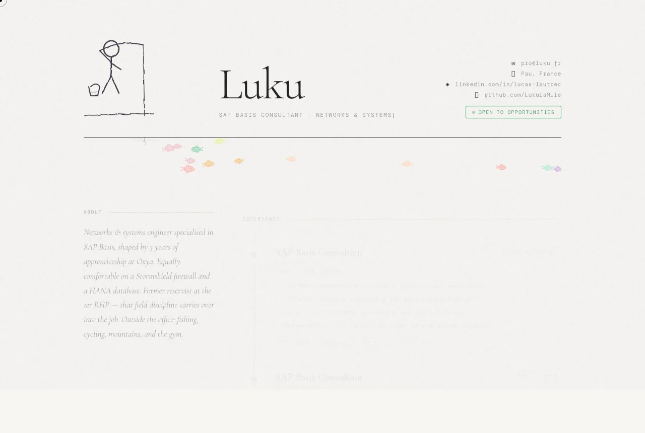 Page CV de Luku : parcours, compétences et contact